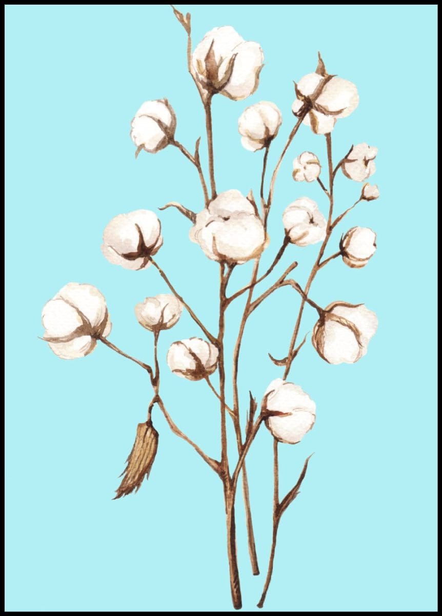 Cotton Plant Illustration Poster - Posteryard Deutschland
