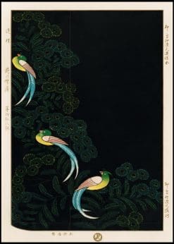 Kimono Lithograph Illustration