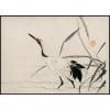 Japanese Crane in Water Illustration