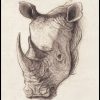 Rhinoceros by Mike Koubou