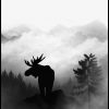 Moose by Gabriella Roberg